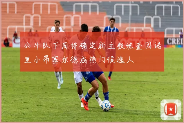 公牛队下周将确定新主教练奎因诺里小昂塞尔德成热门候选人